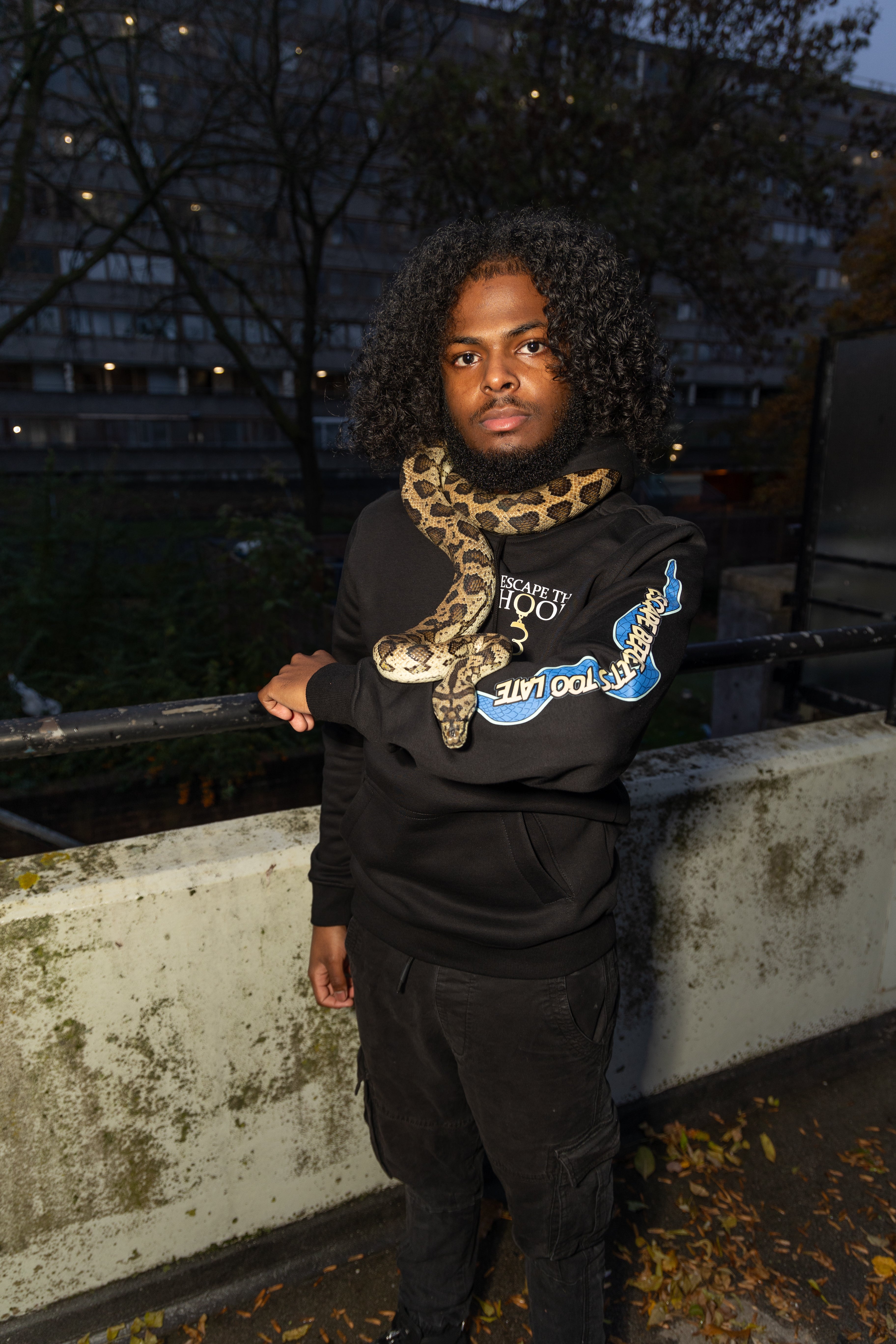 Concrete Jungle: Serpent Survival Hoodie